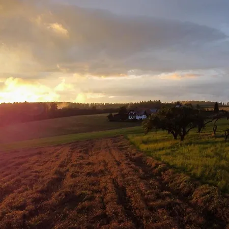 Schwarzwald Auwald *