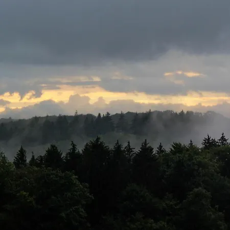 Schwarzwald Auwald Freiamt