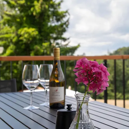 Dağ evi Schwarzwald Auwald Freiamt