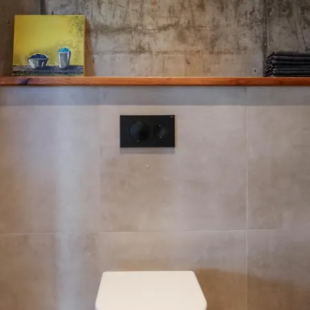 Dağ evi Schwarzwald Auwald Freiamt